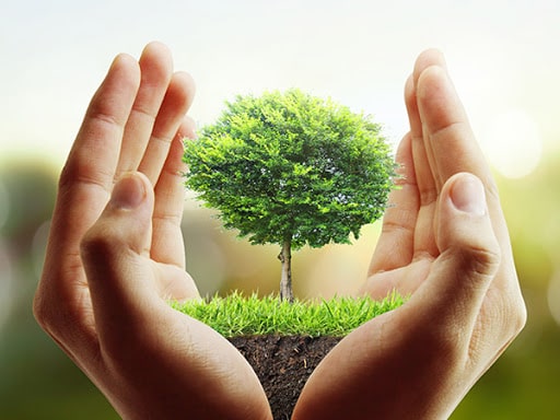Quy định pháp luật về vấn đề ký quỹ bảo vệ môi trường