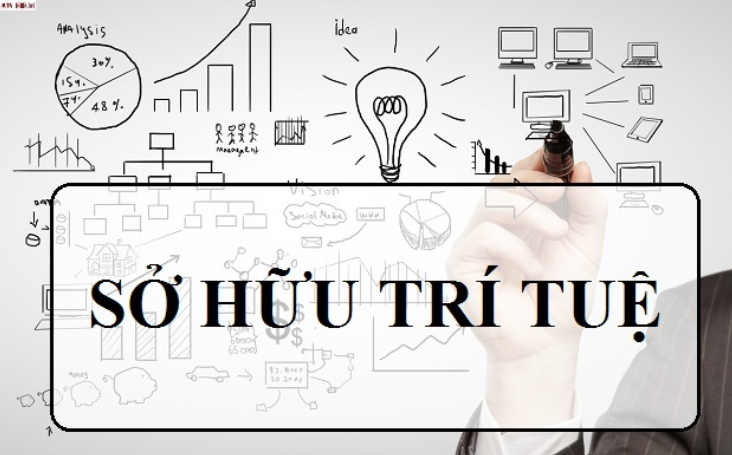 Quy trình đổi giấy phép kinh doanh vận tải mới nhất