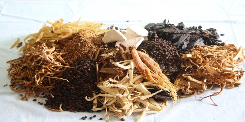Pháp luật quy định như thế nào về chứng chỉ hành nghề bác sĩ y học cổ truyền?