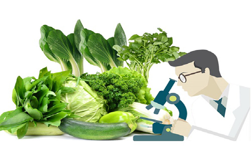 Pháp luật quy định như thế nào về thủ tục cấp giấy chứng nhận kiểm dịch thực vật?