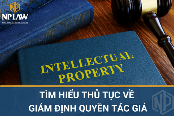 Tìm hiểu thủ tục về giám định quyền tác giả
