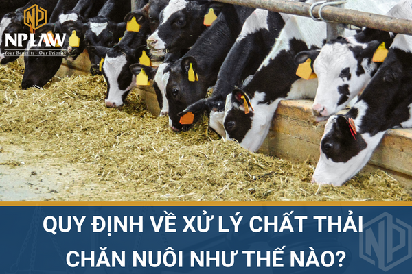 Quy định về xử lý chất thải chăn nuôi như thế nào?