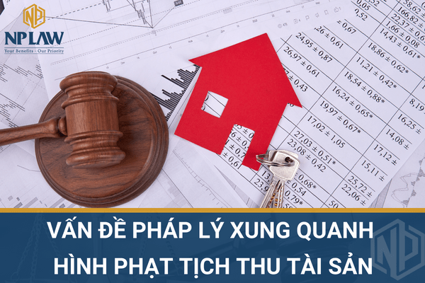 Vấn đề pháp lý xung quanh hình phạt tịch thu tài sản