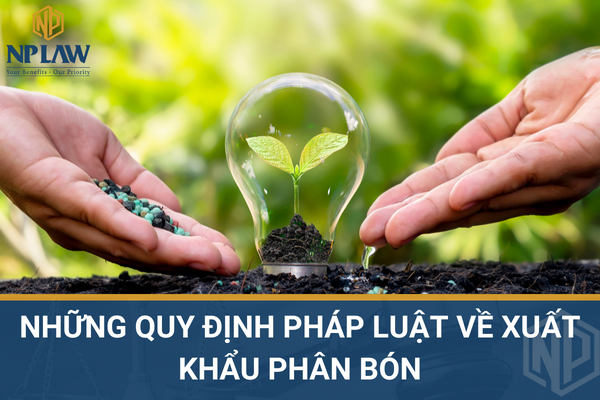 Vận tải hành lý