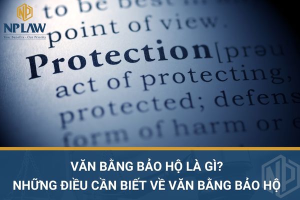 Văn bằng bảo hộ là gì? những điều cần biết về văn bằng bảo hộ
