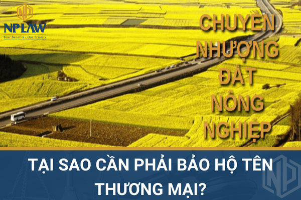 Những trường hợp nào được bán đất trồng lúa?