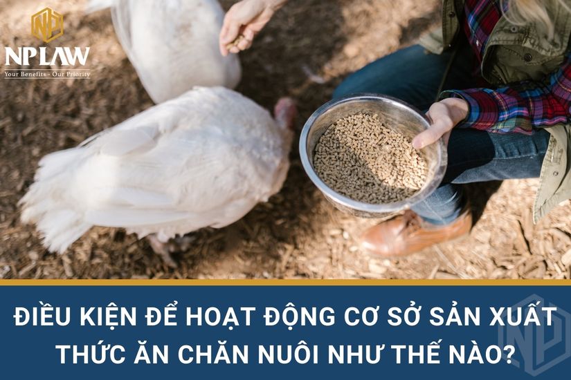 Điều kiện để hoạt động cơ sở sản xuất thức ăn chăn nuôi như thế nào?