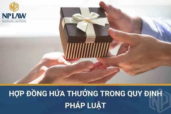 Hợp đồng hứa thưởng trong quy định pháp luật
