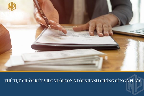 Thủ tục chấm dứt việc nuôi con nuôi nhanh chóng cùng NPLAW