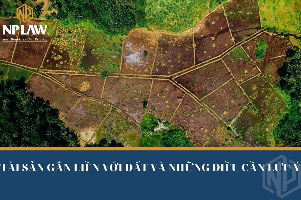 Tài sản gắn liền với đất và những điều cần lưu ý