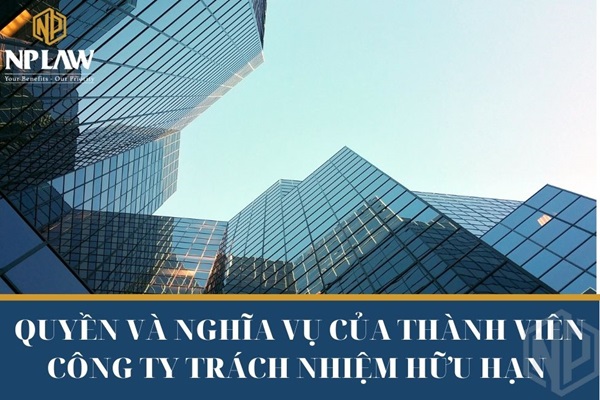 Quyền và nghĩa vụ của thành viên công ty trách nhiệm hữu hạn