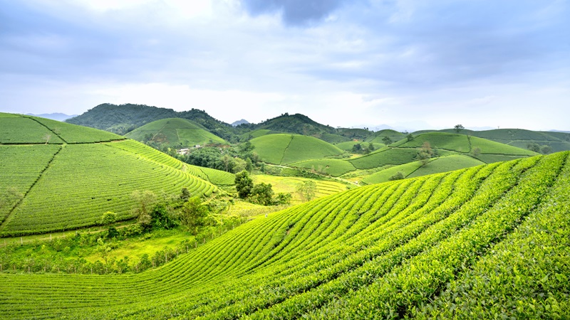 Quy định pháp luật về xuất khẩu hàng dệt may