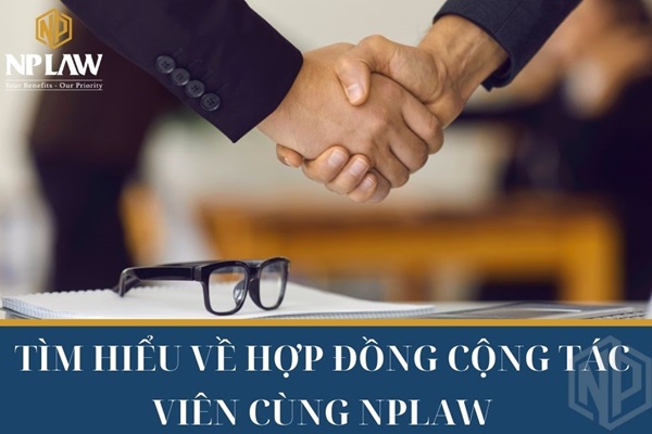 Tìm hiểu hợp đồng cộng tác viên cùng NPlaw