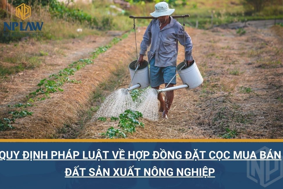 Quy định pháp luật về hợp đồng đặt cọc mua bán đất sản xuất nông nghiệp