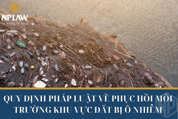 Quy định pháp luật về phục hồi môi trường khu vực đất bị ô nhiễm
