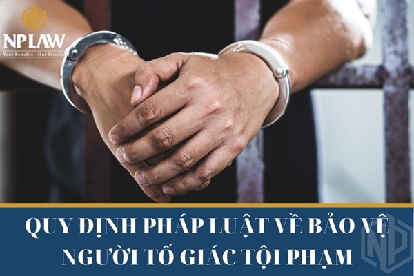 Quy định pháp luật về bảo vệ người tố giác tội phạm