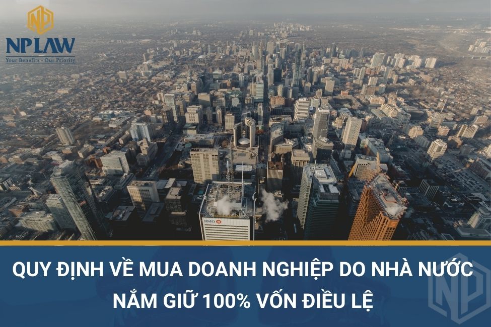 Quy định về mua doanh nghiệp do Nhà nước nắm giữ 100% vốn điều lệ