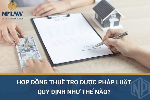 Hợp đồng thuê trọ được pháp luật quy định như thế nào?