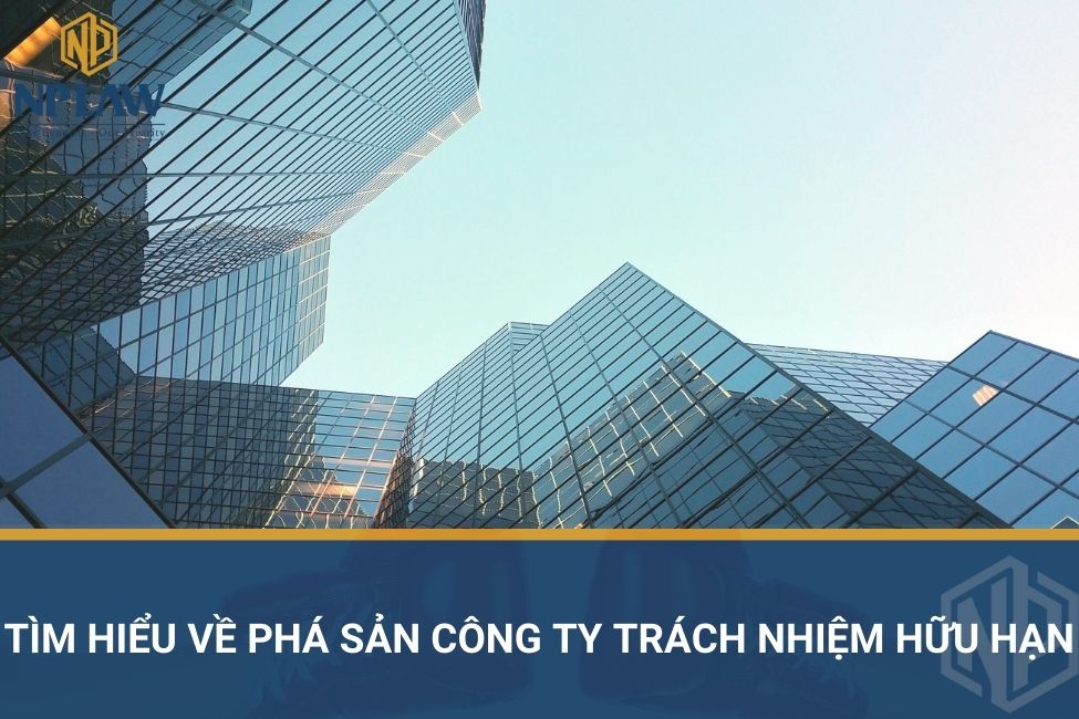 Tìm hiểu về phá sản công ty trách nhiệm hữu hạn