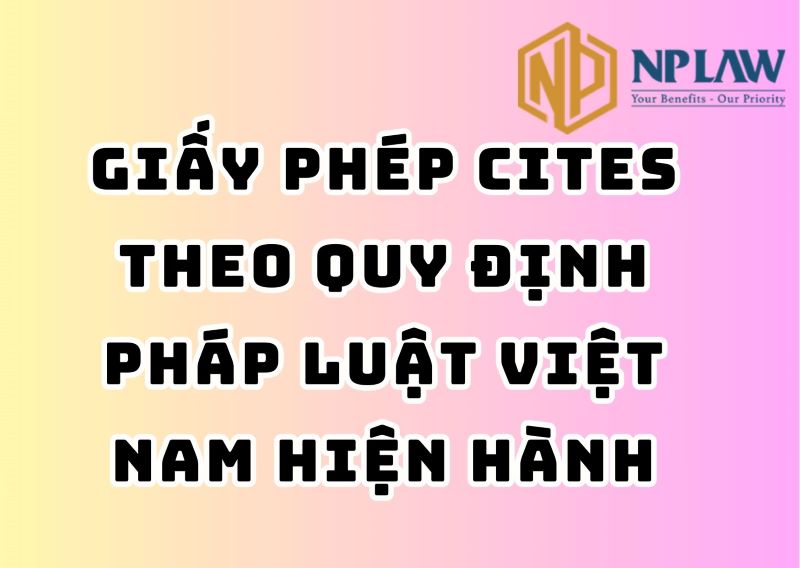Giấy phép cites theo quy định pháp luật việt nam hiện hành