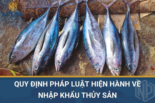 Quy định pháp luật hiện hành về nhập khẩu thủy sản