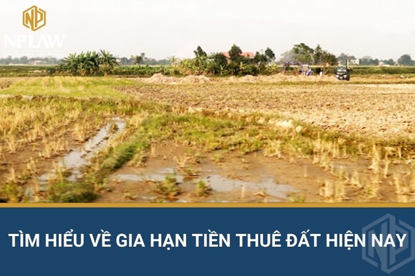 Tìm hiểu về gia hạn tiền thuê đất hiện nay