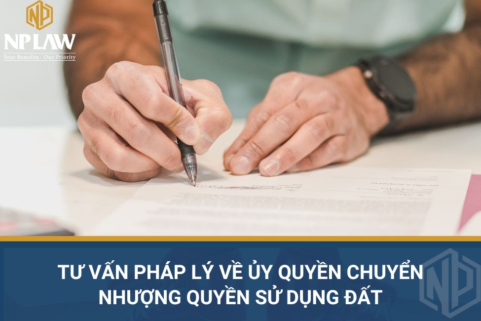 Tư vấn pháp lý về ủy quyền chuyển nhượng quyền sử dụng đất