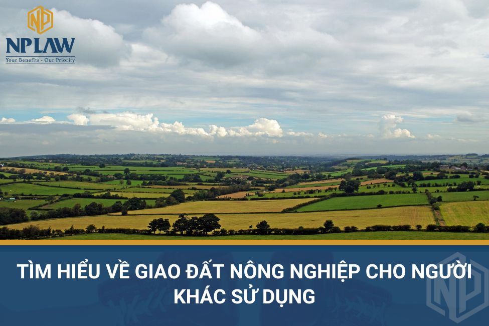 Tìm hiểu về giao đất nông nghiệp cho người khác sử dụng