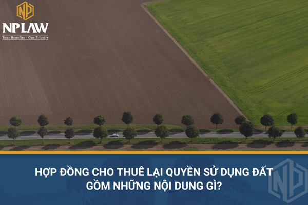 Hợp đồng cho thuê lại quyền sử dụng đất gồm những nội dung gì?