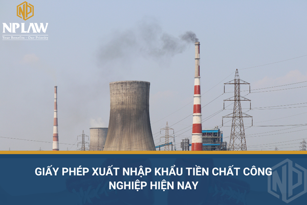 Giấy phép xuất nhập khẩu tiền chất công nghiệp hiện nay