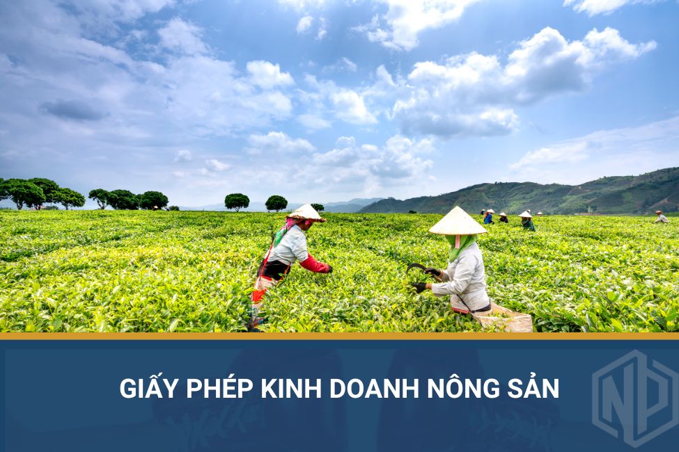 Giấy phép kinh doanh nông sản