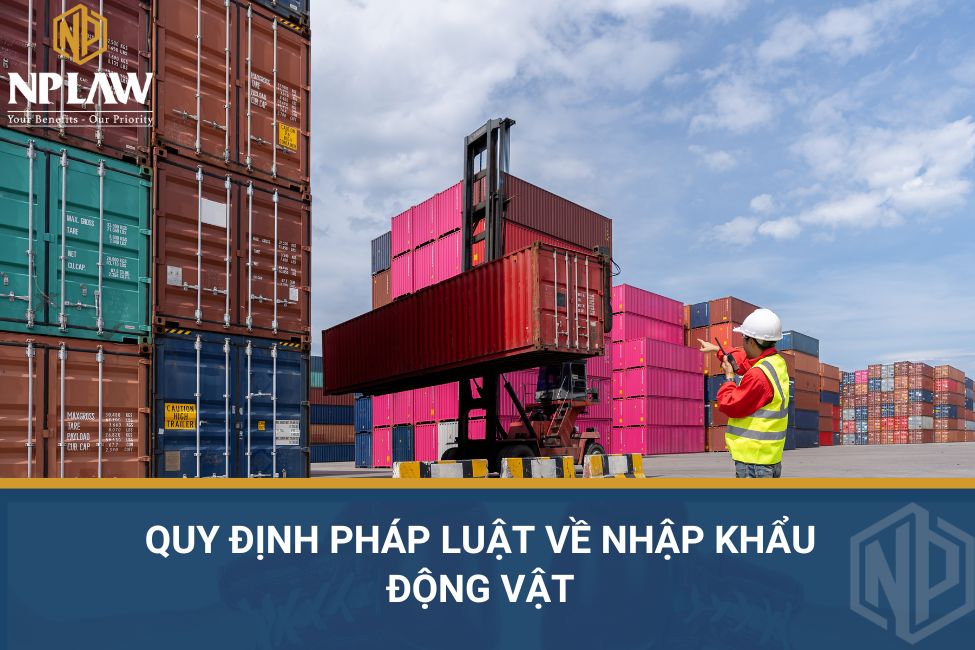 Quy định pháp luật về nhập khẩu động vật