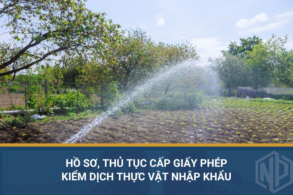 Hồ sơ, thủ tục cấp giấy phép kiểm dịch thực vật nhập khẩu