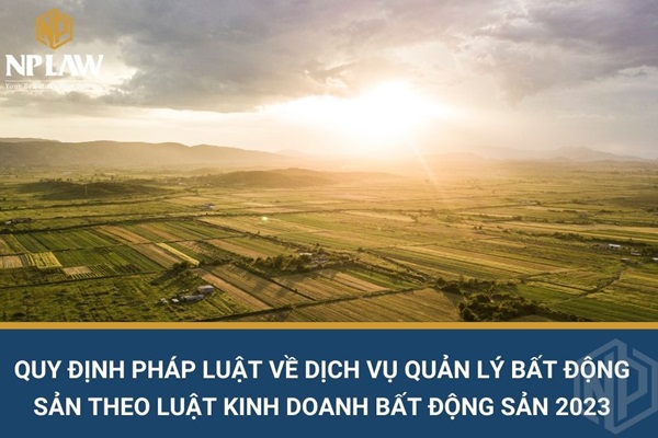 Quy định pháp luật về dịch vụ quản lý bất động sản theo luật kinh doanh bất động sản 2023