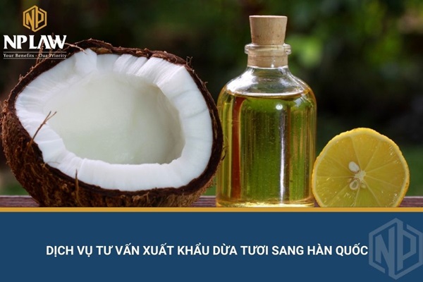 Dịch vụ tư vấn xuất khẩu dừa tươi sang hàn quốc