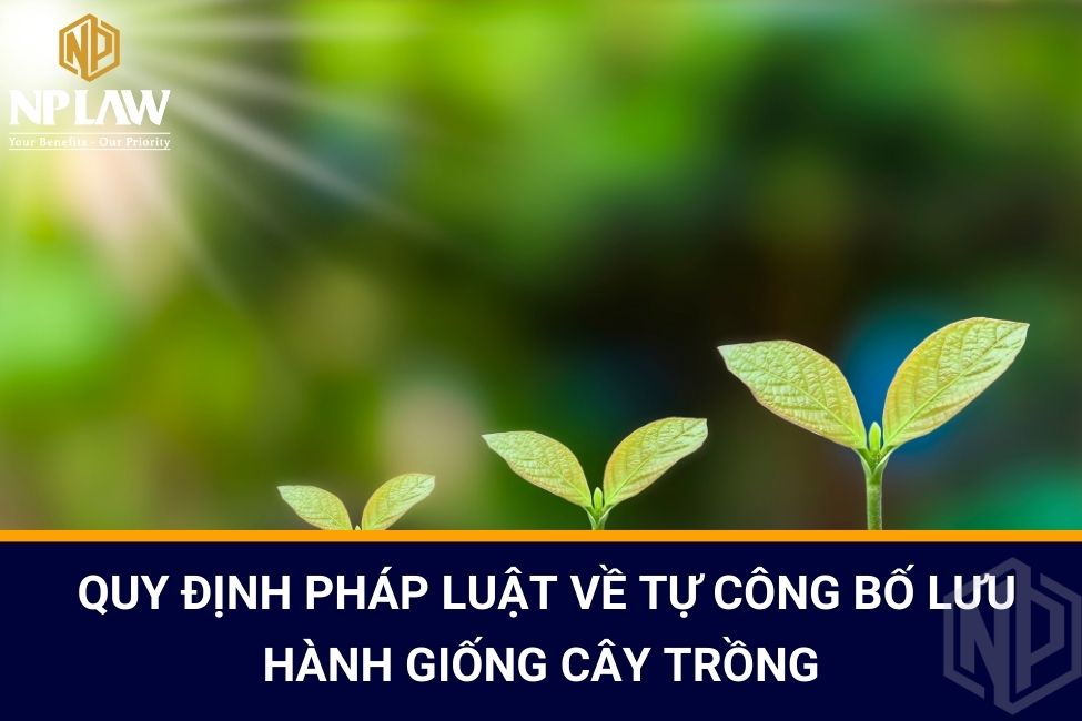Quy định pháp luật về Tự công bố lưu hành giống cây trồng