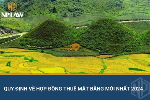 Quy định về hợp đồng thuê mặt bằng mới nhất 2024