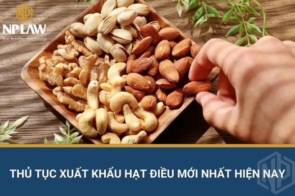 Thủ tục xuất khẩu hạt điều mới nhất hiện nay