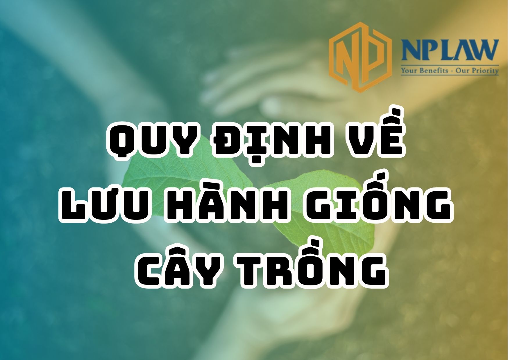 Quy định về lưu hành giống cây trồng