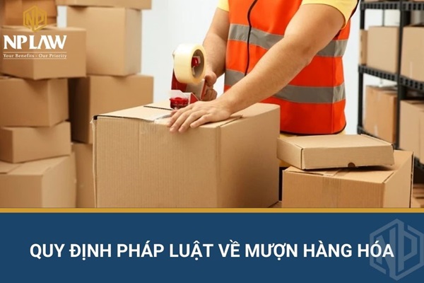 Quy định pháp luật về mượn hàng hóa