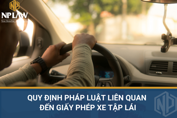 Quy định pháp luật liên quan đến giấy phép xe tập lái