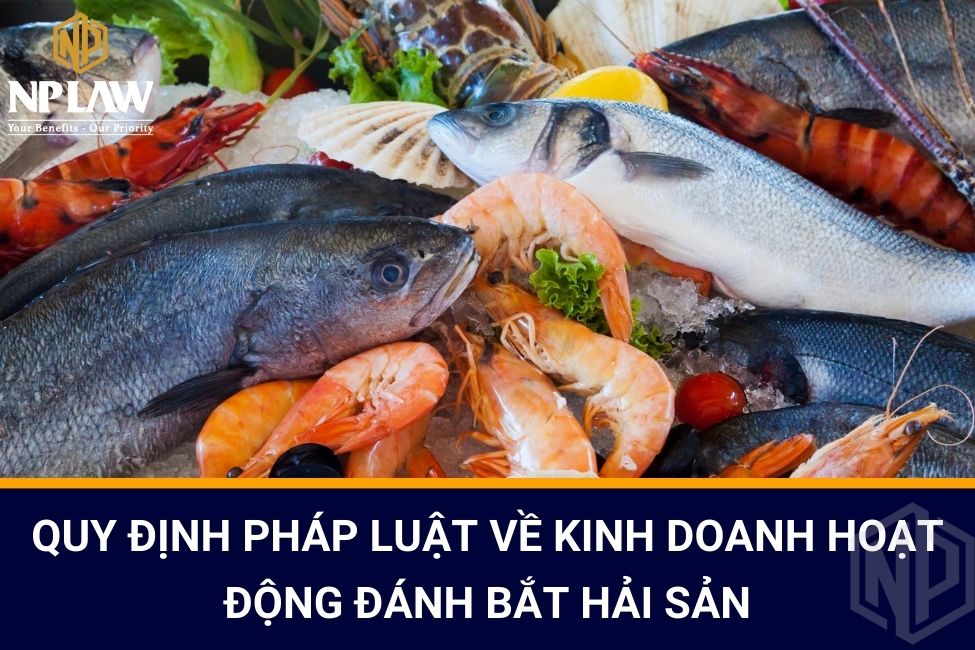 Quy định pháp luật về kinh doanh hoạt động đánh bắt hải sản