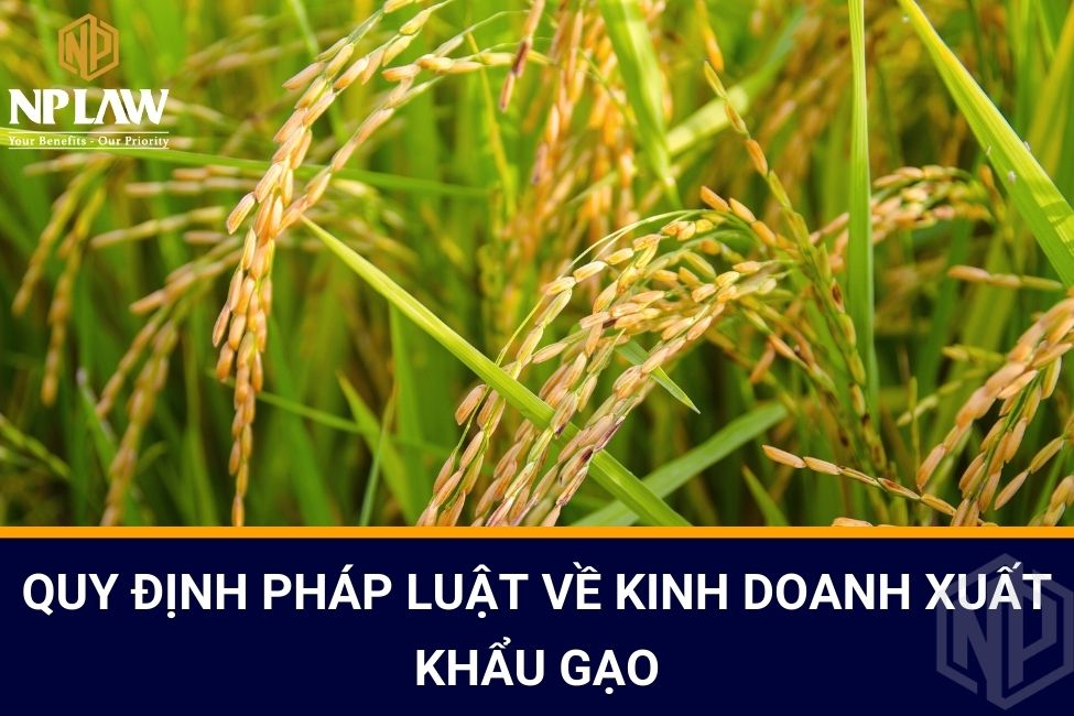 Quy định pháp luật về kinh doanh xuất khẩu gạo