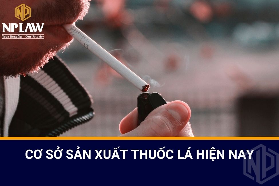 Cơ sở sản xuất thuốc lá hiện nay