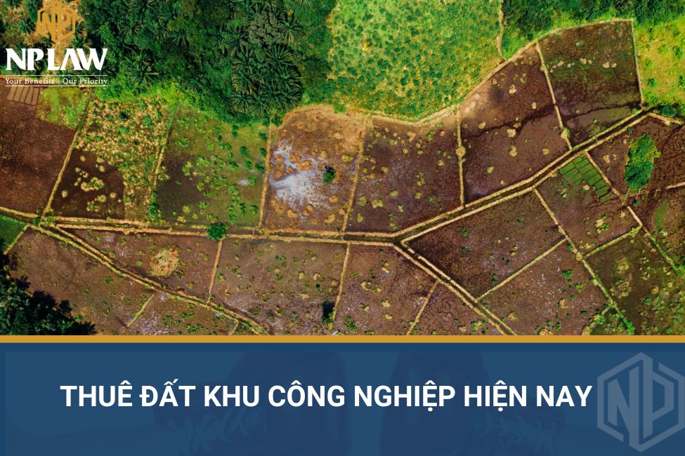 Thuê đất khu công nghiệp hiện nay