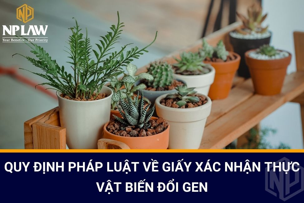 Quy định pháp luật về giấy xác nhận thực vật biến đổi gen