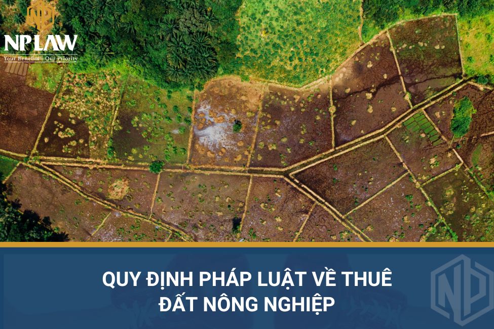 Quy định pháp luật về thuê đất nông nghiệp