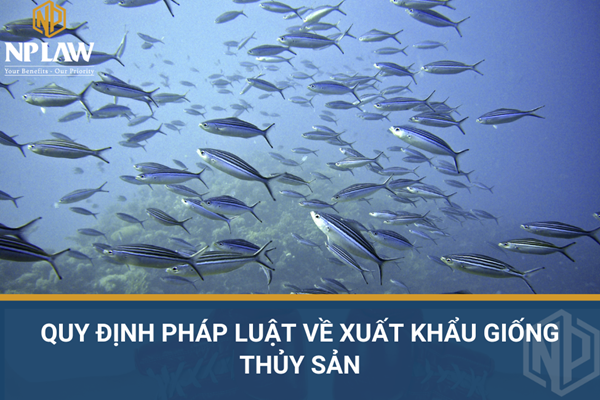 Quy định pháp luật về xuất khẩu giống thủy sản