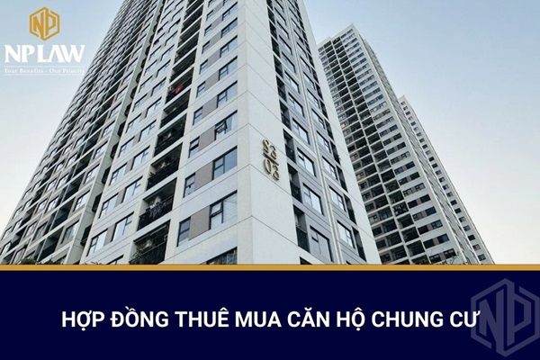 Hợp đồng thuê mua căn hộ chung cư