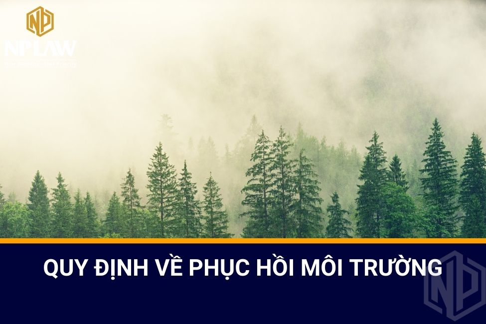 Quy định về phục hồi môi trường